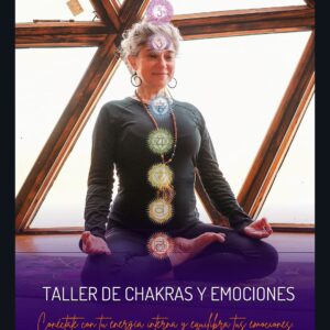 Masterclass de Chakras