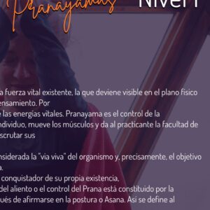 Taller de respiración o Pranayamas